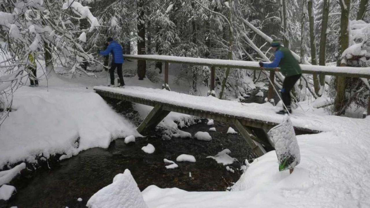 Bežkopotulky (Bežkopotulky: Krušné hory) / 25.12.2024, 05:15